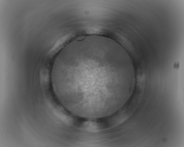 X0000112200211200908141442