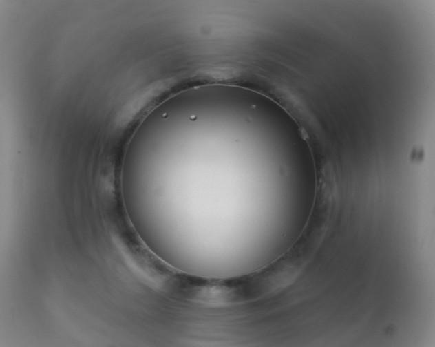 X0000112200212200908141442