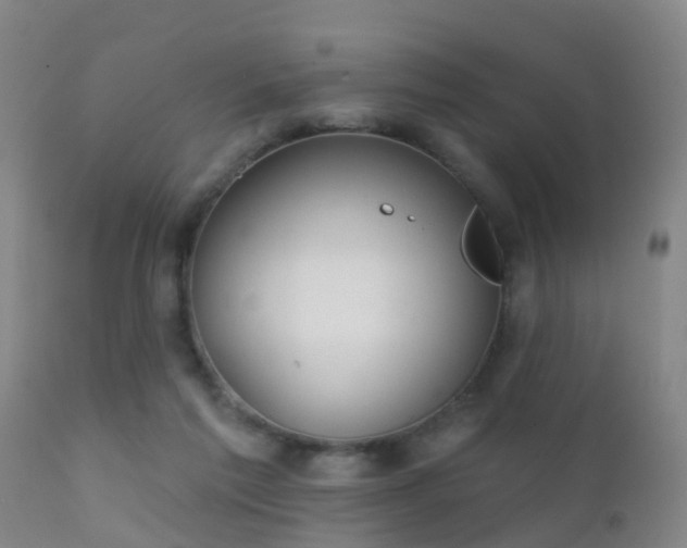 X0000112200213200908141442