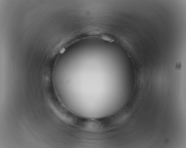 X0000112200215200908141441