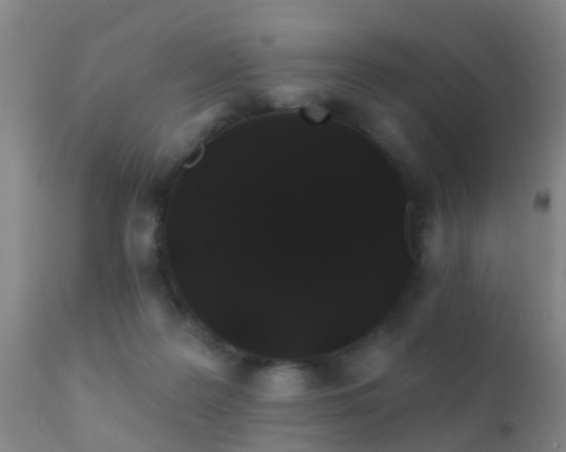 X0000112200219200908141441