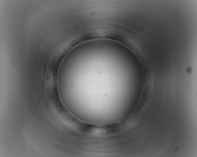 X0000112200220200908141441