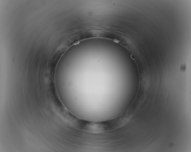 X0000112200221200908141441