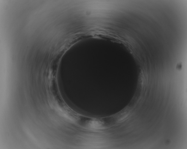 X0000112200223200908141441