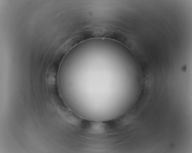 X0000112200226200908141441