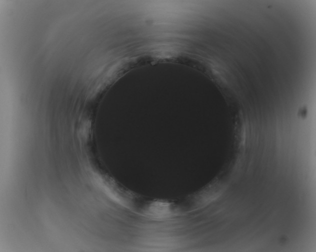 X0000112200227200908141441