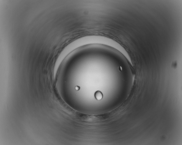 X0000112200229200908141441