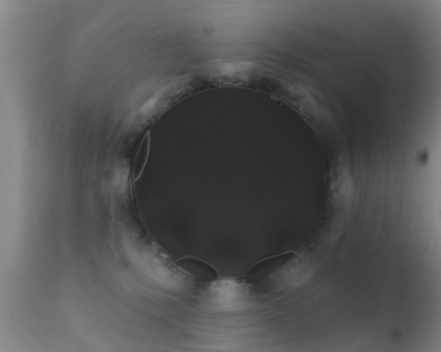 X0000112200231200908141441