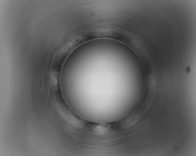 X0000112200232200908141441