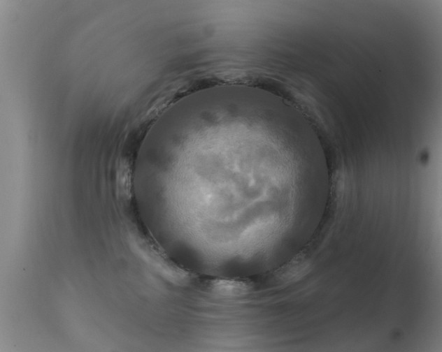 X0000112200234200908141441