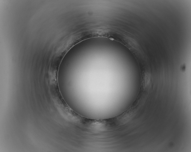 X0000112200236200908141441