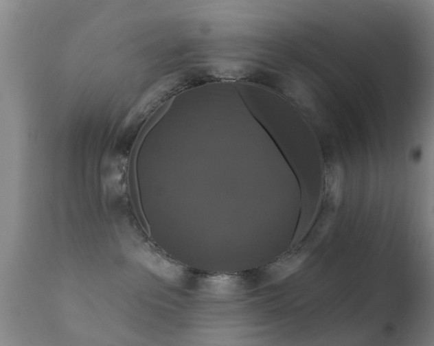 X0000112200237200908141441