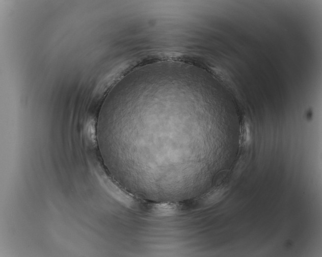 X0000112200238200908141441