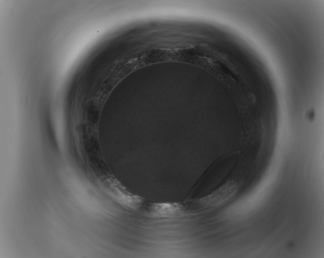 X0000112200239200908141441