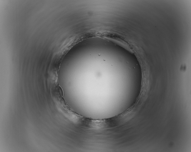 X0000112200240200908141441