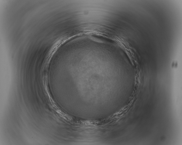 X0000112200241200908141440