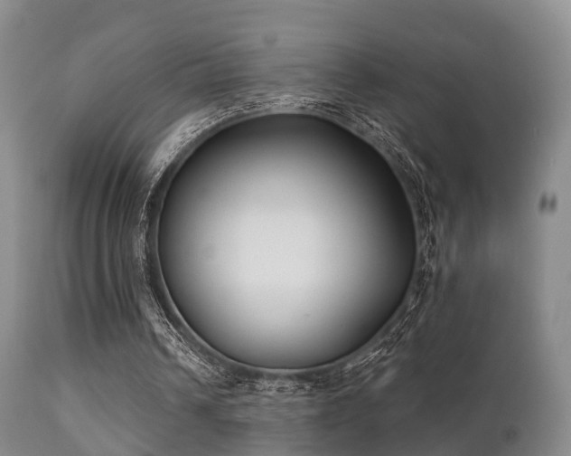 X0000112200242200908141440