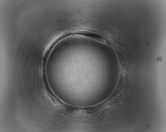 X0000112200244200908141440