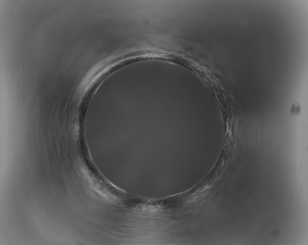 X0000112200247200908141440