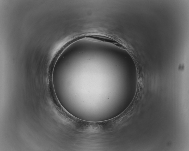 X0000112200248200908141440