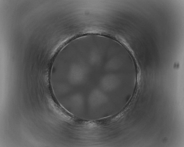 X0000112200249200908141440