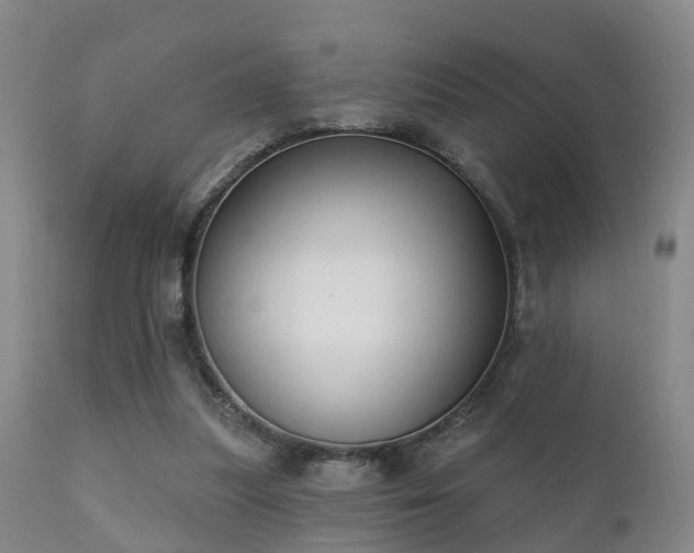 X0000112200251200908141440