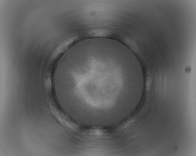 X0000112200254200908141440