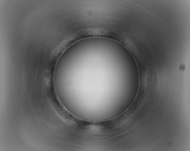 X0000112200255200908141440