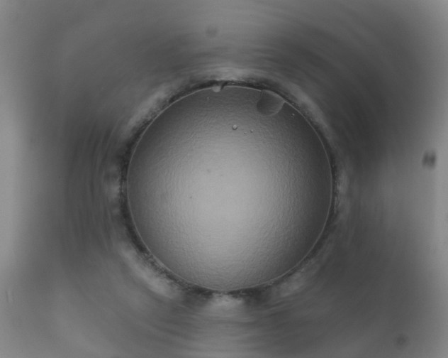 X0000112200257200908141441