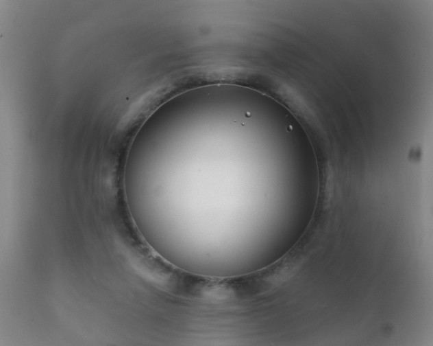 X0000112200258200908141441