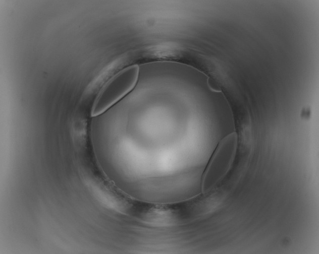 X0000112200260200908141441