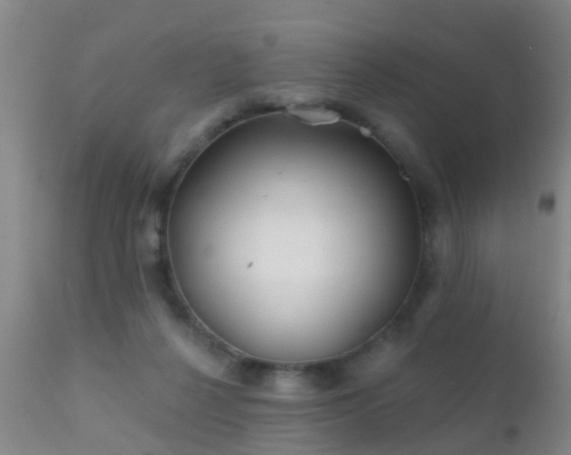 X0000112200264200908141441