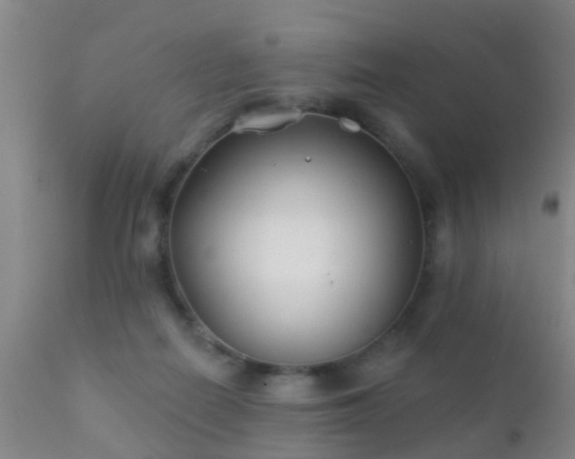 X0000112200266200908141441