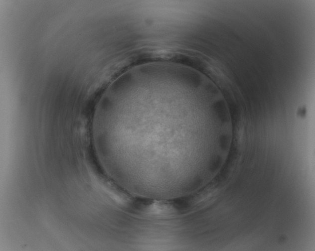 X0000112200270200908141441