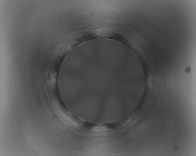 X0000112200271200908141441