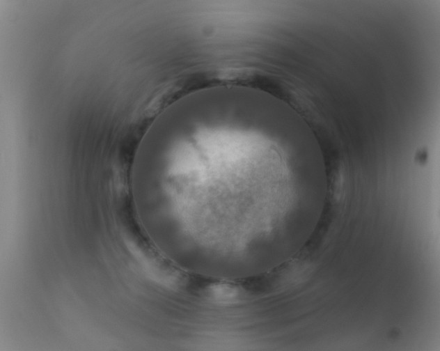 X0000112200272200908141441