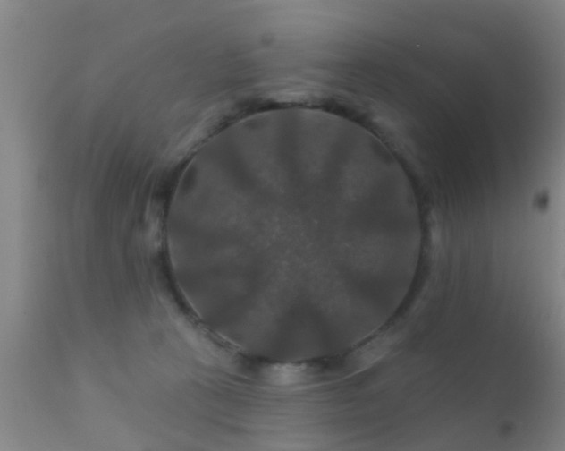 X0000112200273200908141441