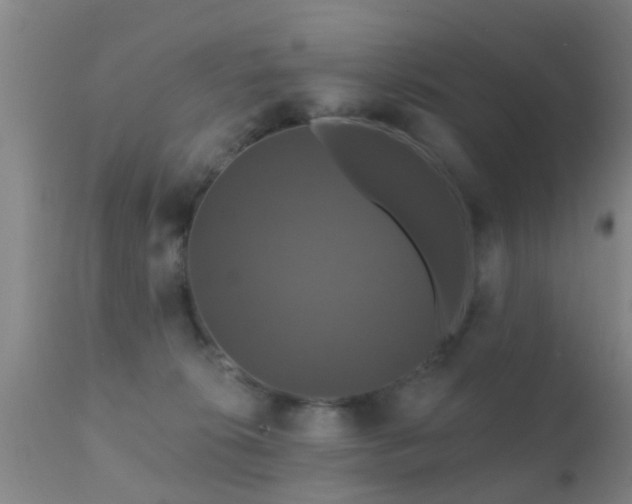 X0000112200276200908141441