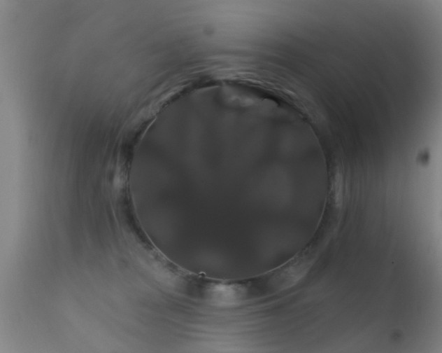 X0000112200277200908141441