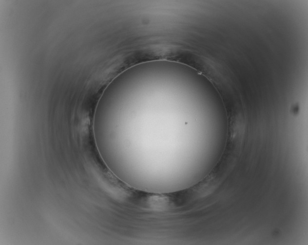 X0000112200279200908141441