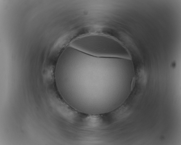 X0000112200280200908141441