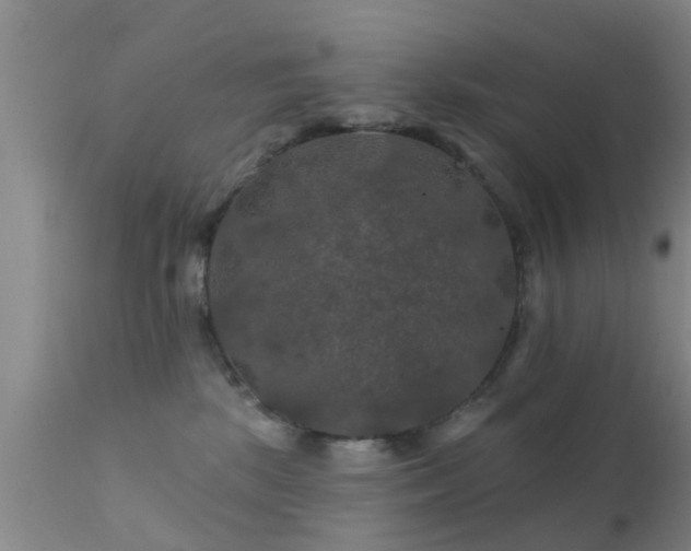 X0000112200281200908141441