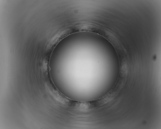 X0000112200282200908141441