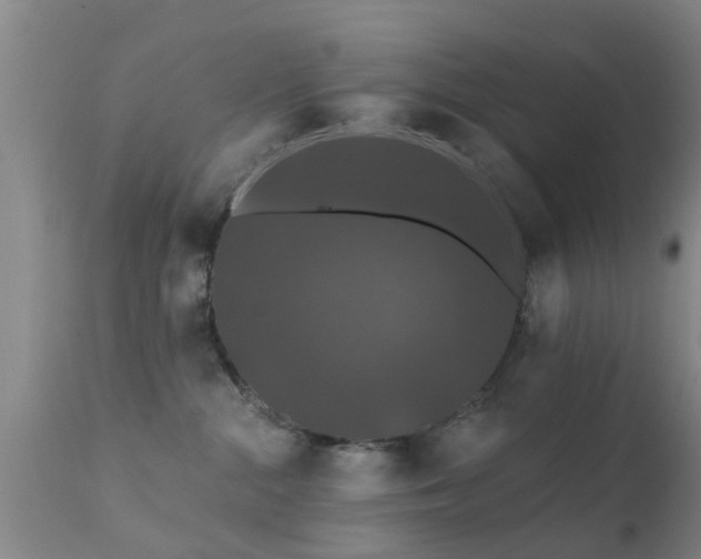 X0000112200284200908141441