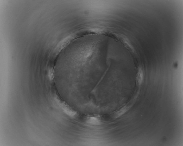 X0000112200285200908141441