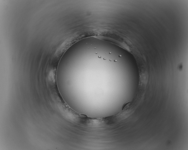 X0000112200286200908141441