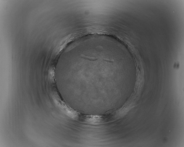 X0000112200288200908141441