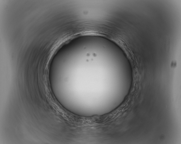 X0000112200289200908141440