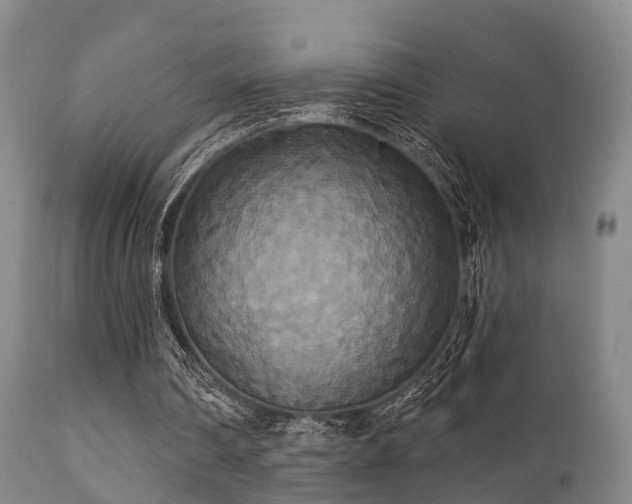 X0000112200290200908141440