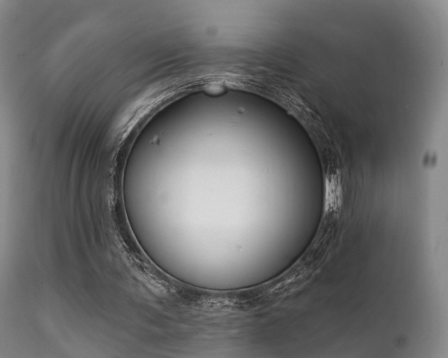 X0000112200291200908141440